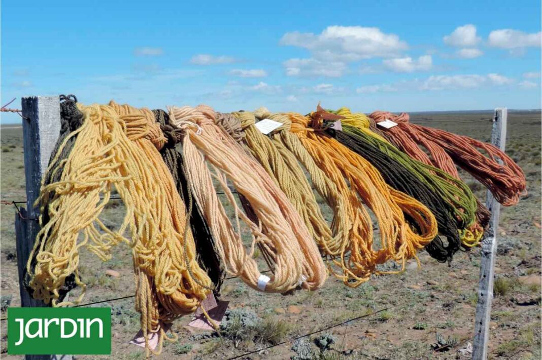 tintes-naturales-de-la-estepa-patagonica:-que-plantas-se-utilizan-para-esta-tarea-ancestral