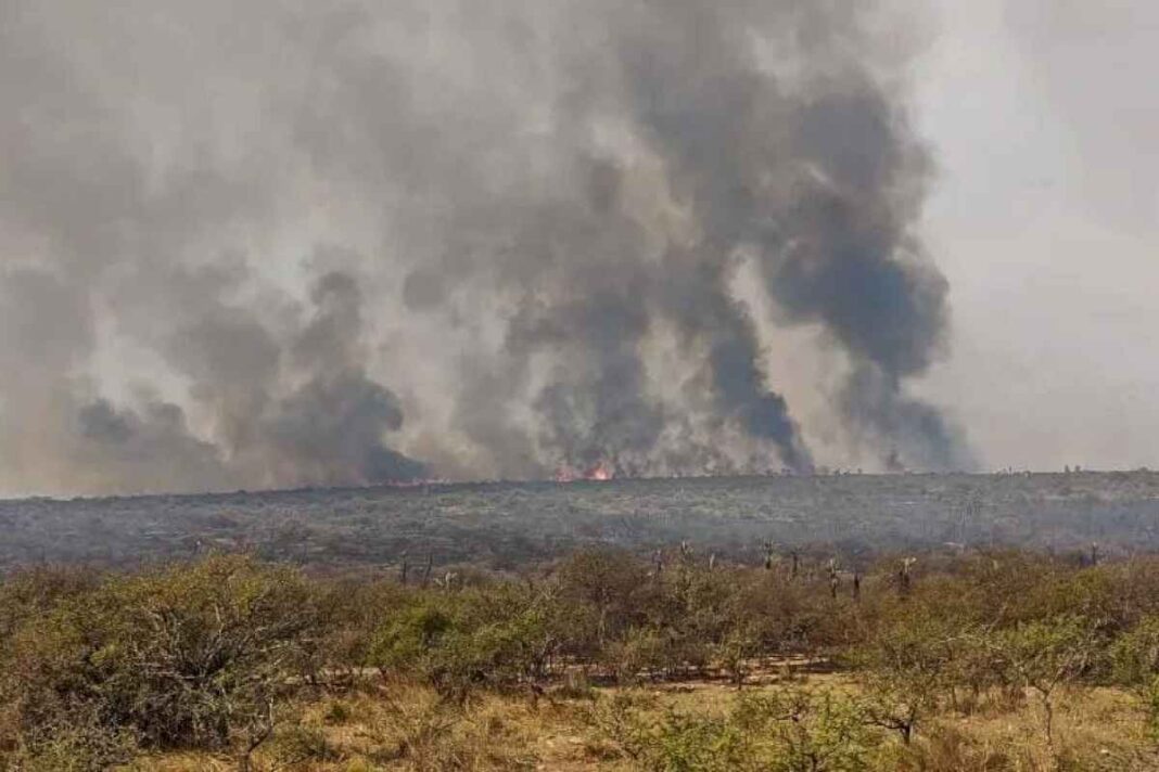 feroz-incendio-en-calamuchita