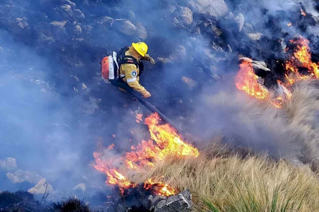 el-origen-del-incendio-hay-que-investigarlo,-pero-en-el-95-por-ciento-de-los-casos-es-humano