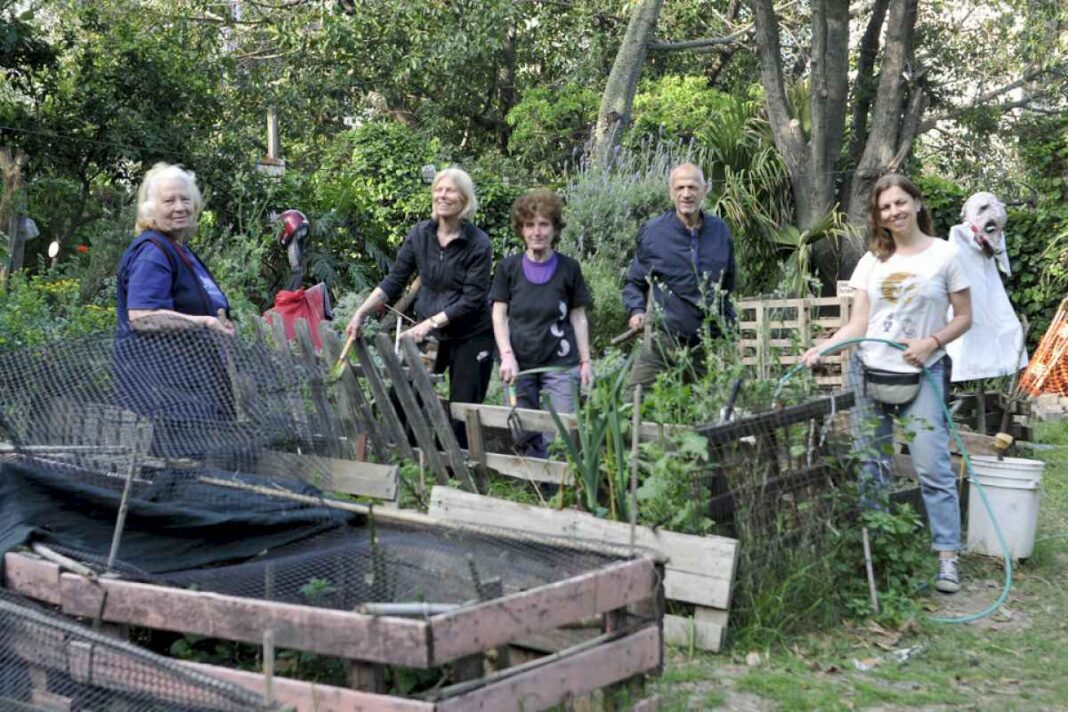 parque-patricios:-la-justicia-portena-suspende-el-desalojo-de-una-huerta-comunitaria