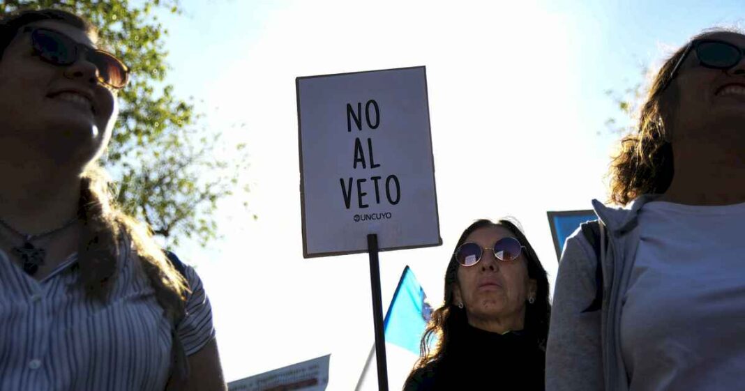 que-dice-y-que-significa-el-veto-a-la-ley-de-financiamiento-universitario-publicado-en-el-boletin-oficial