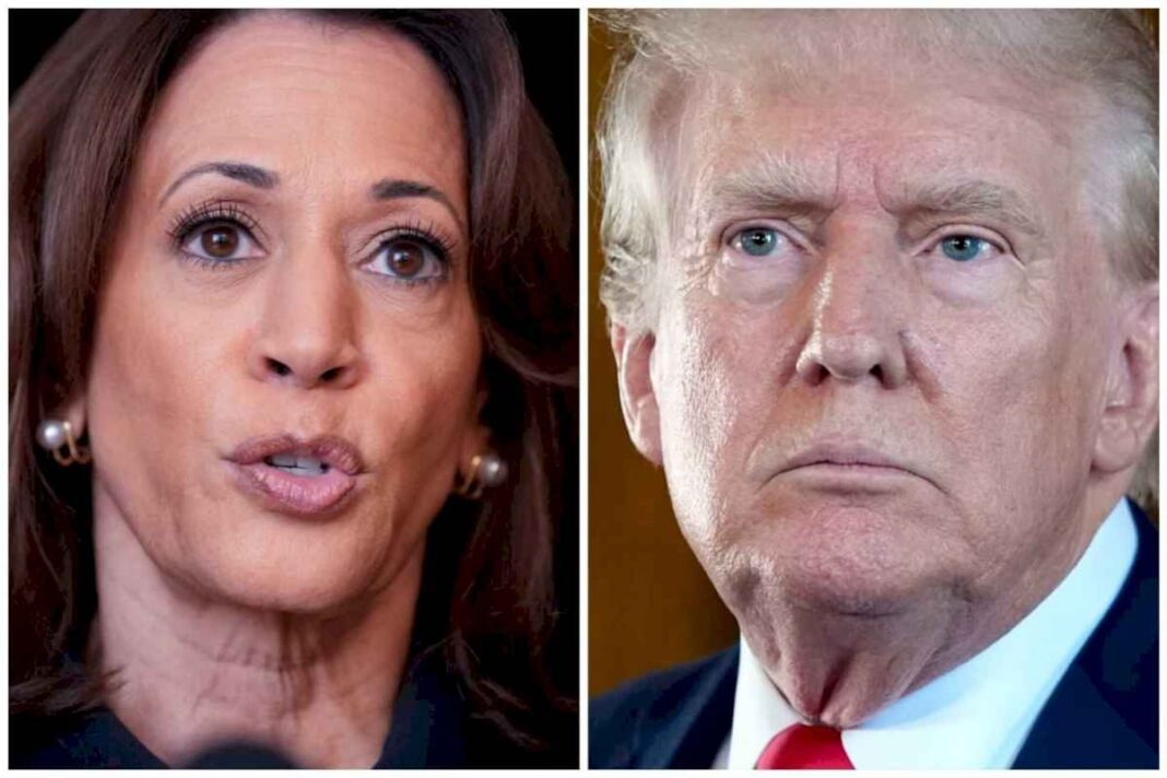 quien-gana-en-eeuu.?-asi-estan-las-encuestas-presidenciales-entre-trump-y-kamala-hoy,-domingo-20-de-octubre