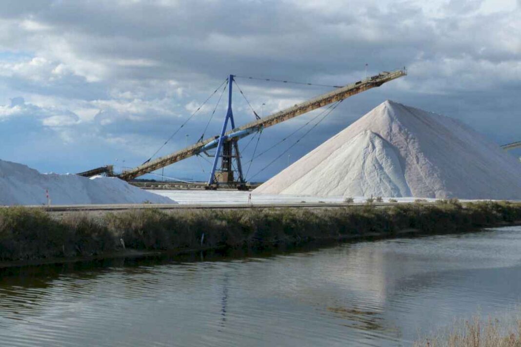 el-talento-cientifico-argentino,-premiado