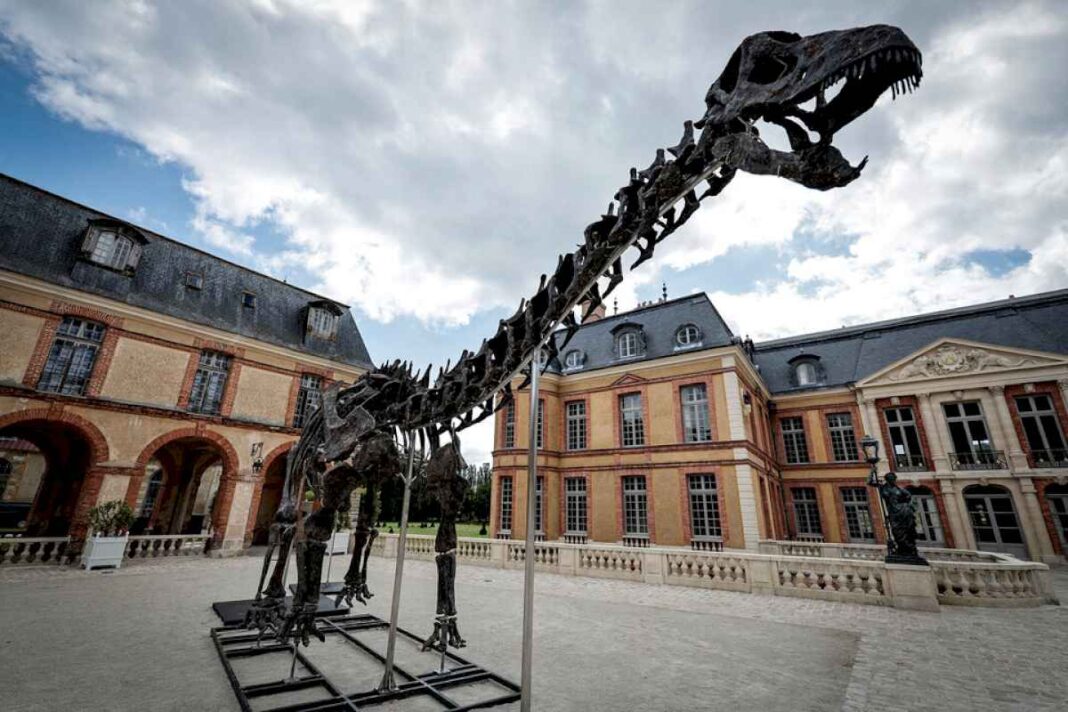 un-esqueleto-gigante-de-dinosaurio-vendido-por-6-millones-de-euros