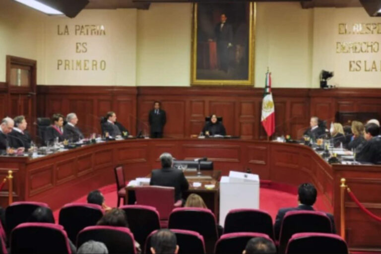 Norma Piña y tres ministros están excusados de resolver amparos para elección judicial