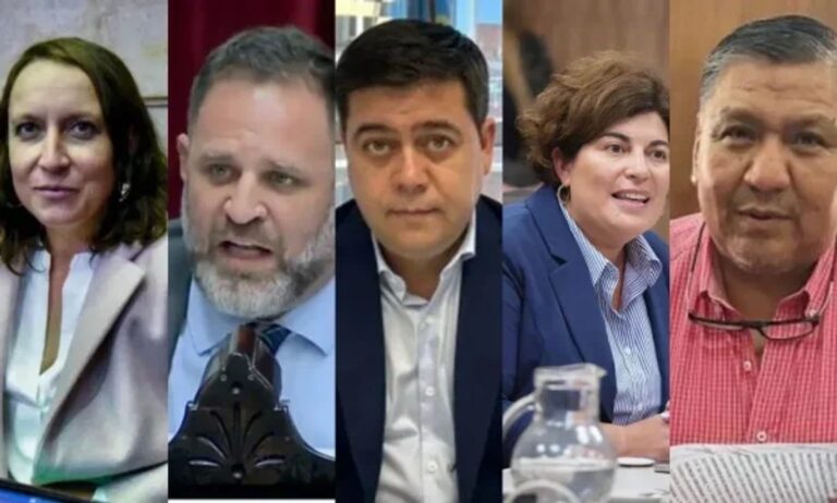 Dos a favor, dos en contra y un ausente: cómo votaron los diputados de Chubut la leydeFichaLimpia
