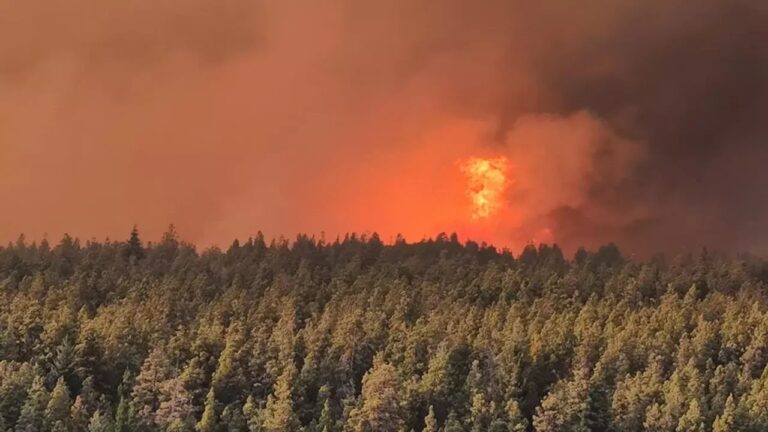 Cómo sigue la situación de los incendios en la Patagonia y cuál es la zona más afectada?