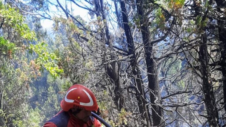 Se controló el incendio forestal en Los Cipreses