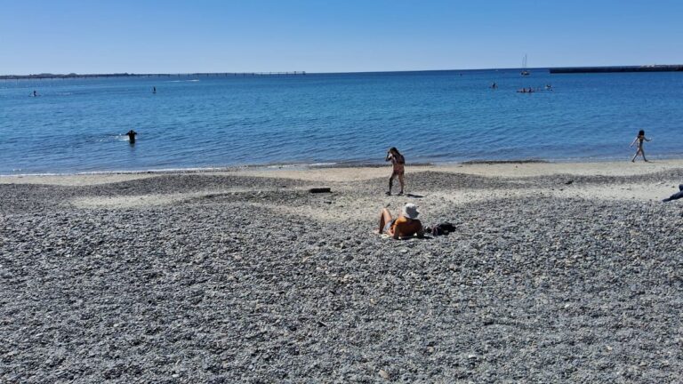 Viernes agradable con viento moderado y máxima de 20C