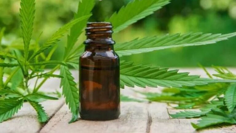 Cultivadores de cannabis en Chubut preocupados por el anuncio de Bullrich
