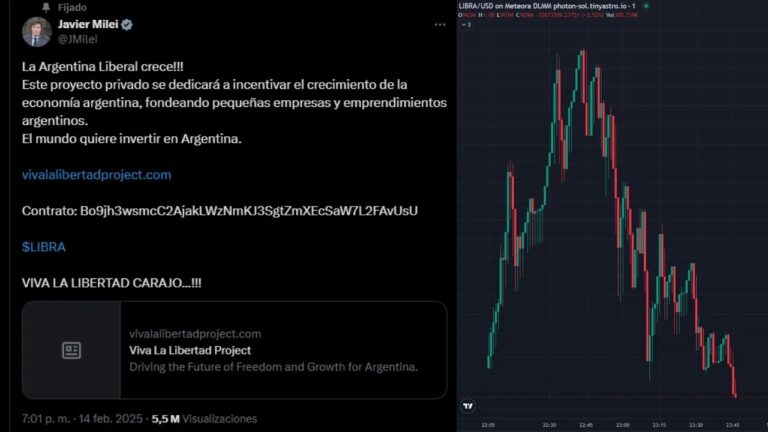 Escándalo por una criptomoneda que recomendó Milei en X: se disparó y, a la hora, se desplomó