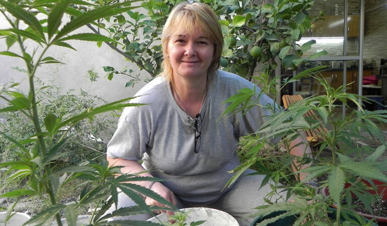 Críticas a Bullrich por la posible baja de permisos para cannabis medicinal