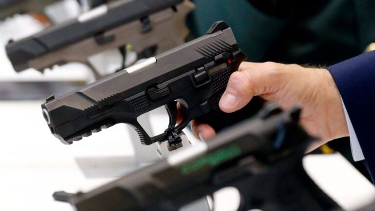 El Gobierno entrega a las Fuerzas de Seguridad armas secuestradas a delincuentes en operativos
