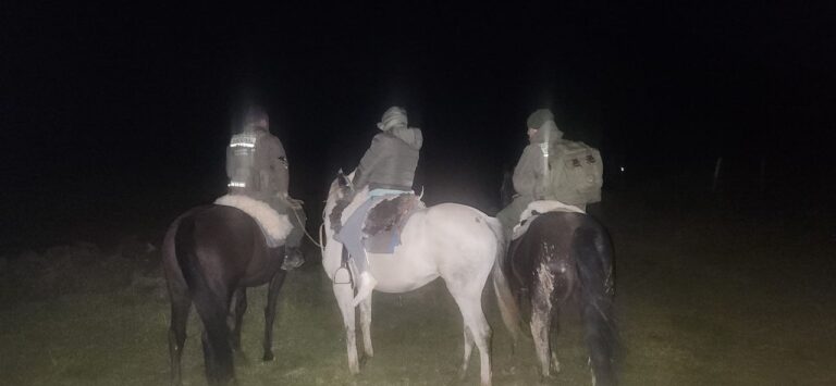 Gran rescate en la cordillera: gendarmes asistieron a una mujer que tenía una grave herida