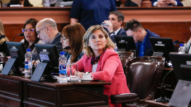 La reemplazante de Edgardo Kueider dio el último paso para asumir en el Senado