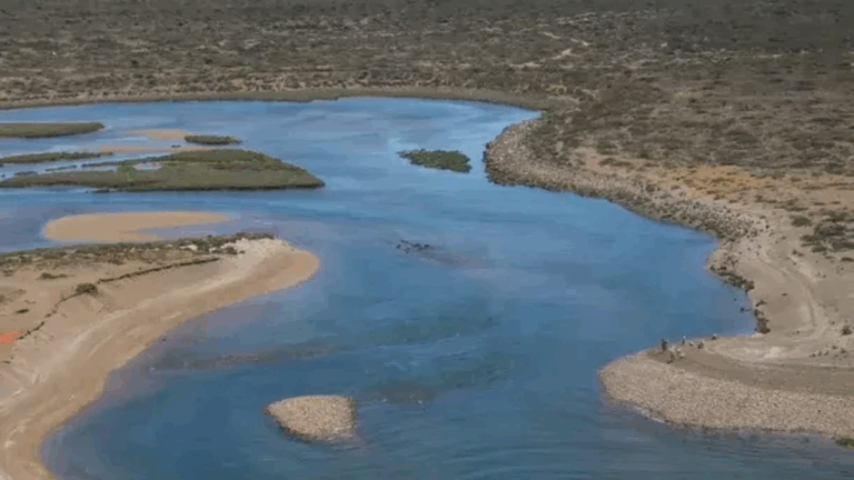 Muerte del buzo: apuntan al equipo