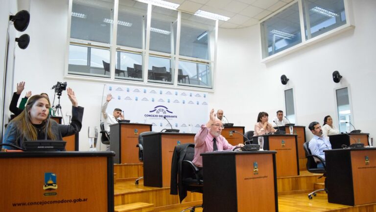 Aprobaron en 1ra. lectura las bases del servicio de transporte