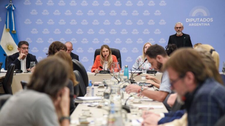 Diputados avanzará con el tratamiento de la moratoria previsional y el bono jubilatorio