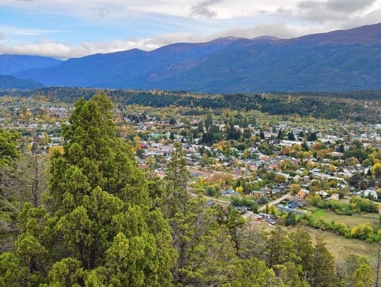 Violencia y alcohol en El Bolsón: recibió una sanción insólita por pelear en la calle