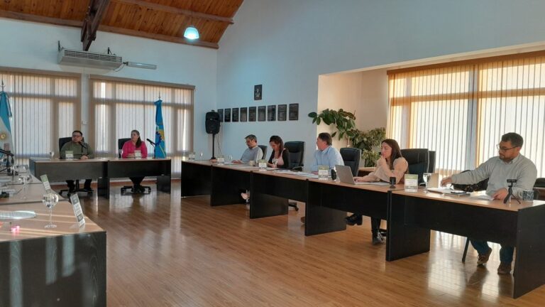 Discapacidad: Concejo de Trevelin apoyó proyecto de emergencia