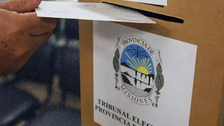 Elecciones en Misiones: se renuevan diputados provinciales y concejales