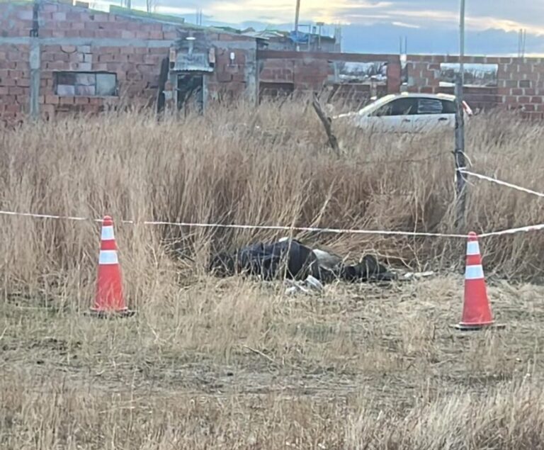 Conmoción en Sarmiento: encontraron muerto a un hombre de 61 años en un descampado
