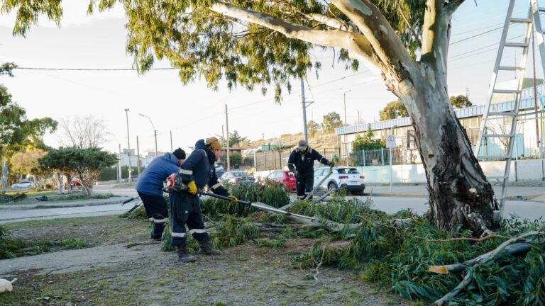Continúan los trabajos de reacondicionamiento de espacios públicos