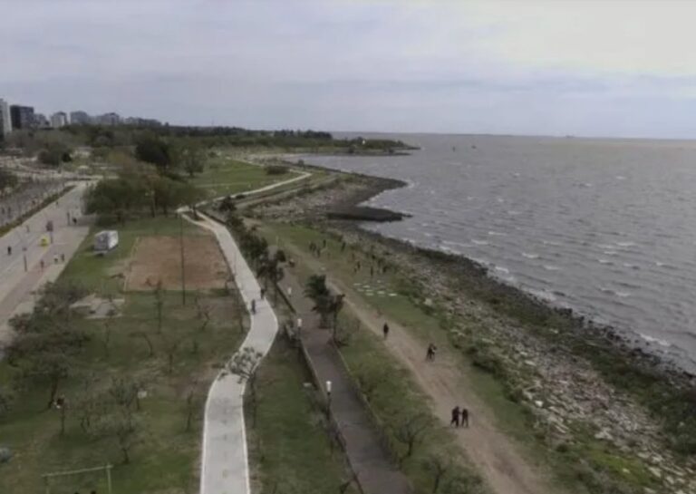 Encontraron una ballena muerta en un sector de la costa del Río de la Plata
