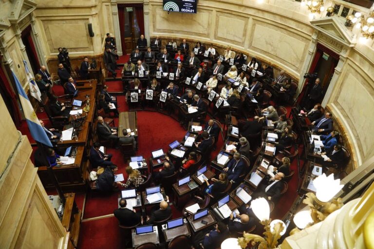 La oposición logró quórum en el Senado, pero el oficialismo asegura que la sesión «no es válida»