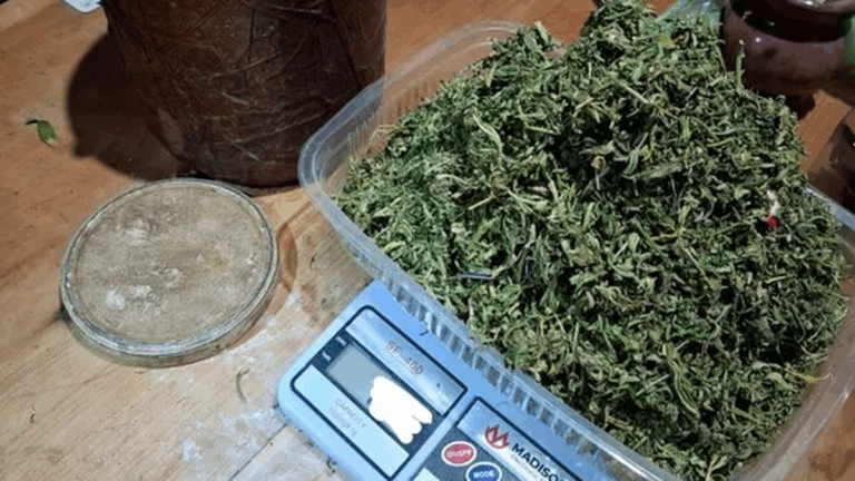 Secuestran marihuana y demoran a dos personas por venta de droga