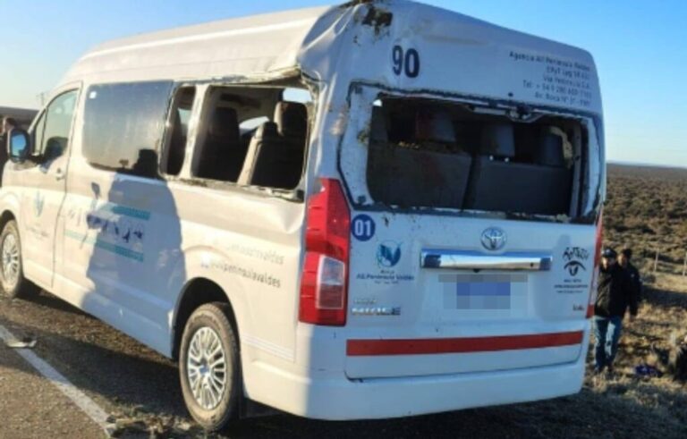 Atropelló a un guanaco y provocó un impactante accidente con dos turistas heridos