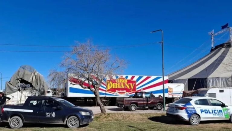 Conmoción en el Alto Valle: allanaron un circo que recorre la zona y rescataron a 10 perros maltratados