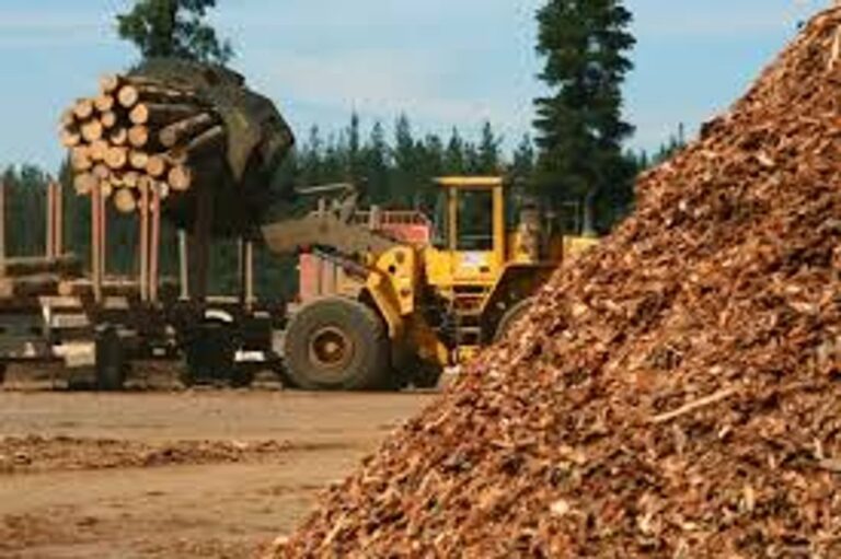 Una de las principales madereras del país atraviesa una grave crisis y suspendió a más de 500 trabajadores