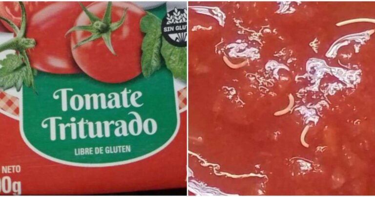 ANMAT descartó la presencia de gusanos en un lote de tomate triturado de una reconocida marca