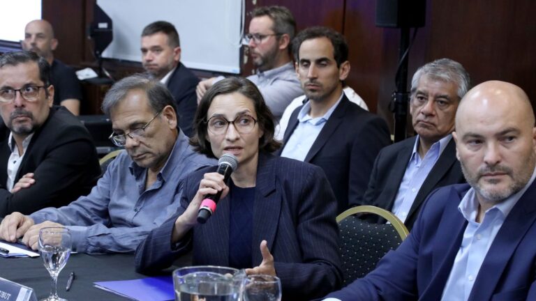 En Chubut no hay lotes de fentanilo contaminado en circulación