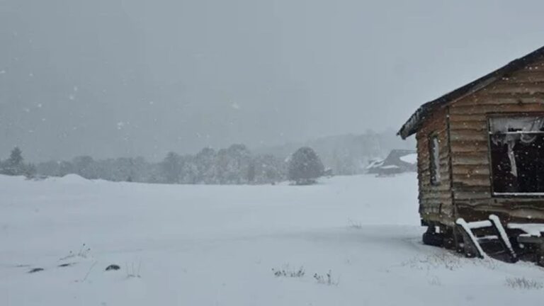 Parte de Chubut está bajo alerta amarilla por nevadas muy intensas: podrían caer hasta 40 centímetros de nieve