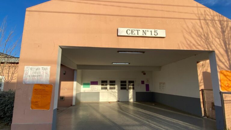 Suspendieron las clases en una escuela patagónica por una plaga de cucarachas en el comedor