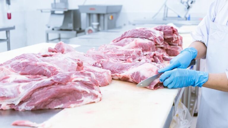 La Justicia suspende el ingreso de carne con hueso a la Patagonia por 30 días
