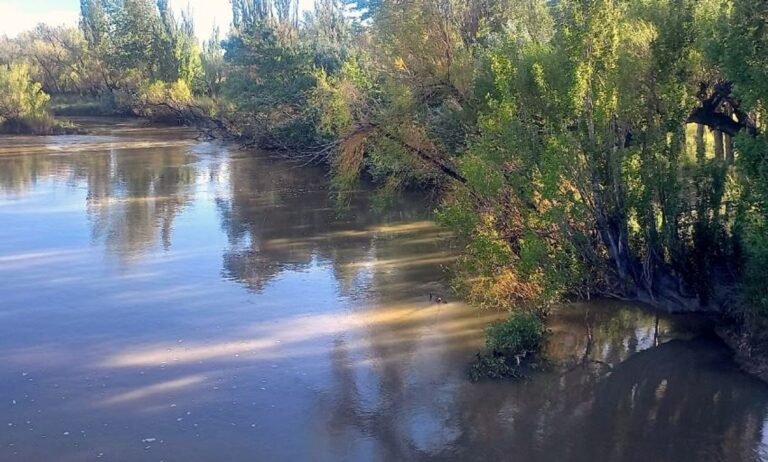 Incautaron 17 cañas y 46 peces en un sector prohibido del río Senguer