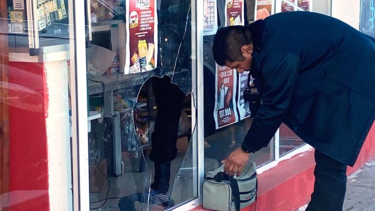 Rompieron vidriera y robaron  caja registradora de carnicería