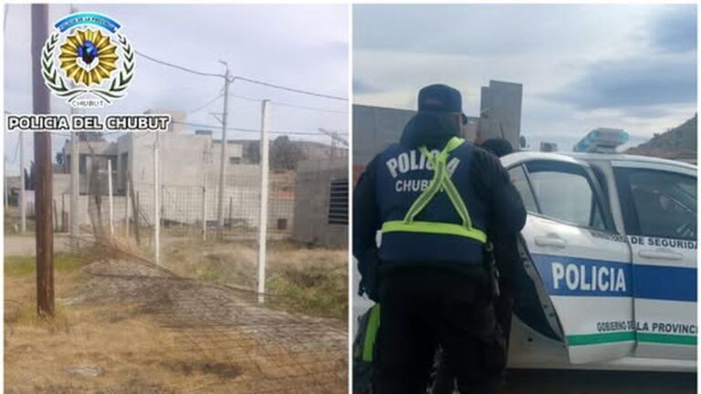 Detienen a un hombre mientras robaba mallas metálicas