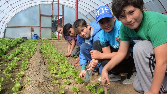 2296317-chubut-tendra-un-bachillerato-en-energia-y-sustentabilidad