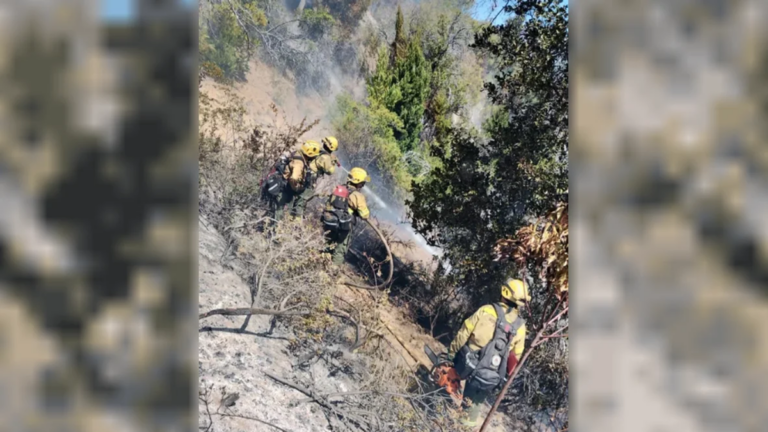 Incendio en Los Alerces: el fuego sigue activo pero bajo control