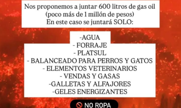 Vecinos de Trelew, Gaiman y Dolavon organizan colecta solidaria directa para los brigadistas de la cordillera