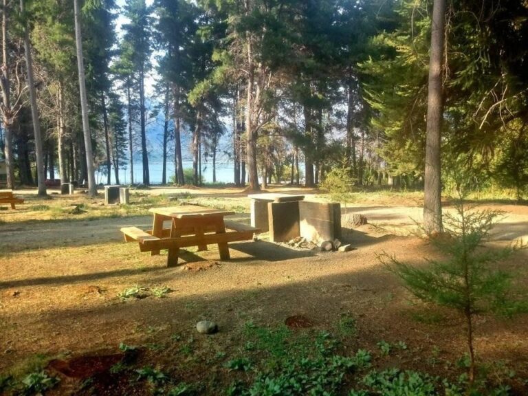 Tras los incendios, vuelven a reactivar el turismo en Puerto Patriada: cuándo abren los campings?