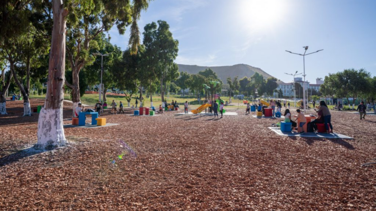 Feria solidaria para asistir a damnificados de la Cordillera y Comodoro