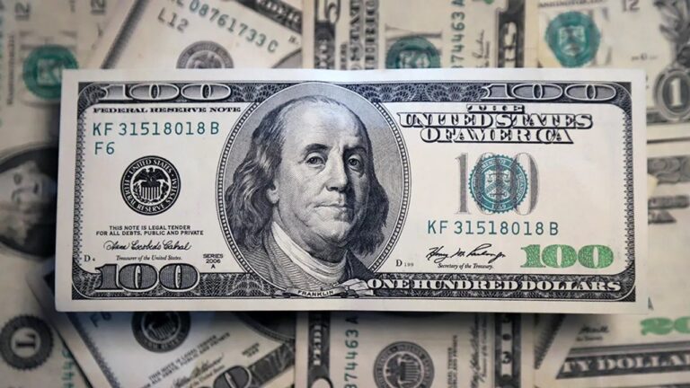 A cuánto cotizó el dólar oficial este miércoles en Argentina?