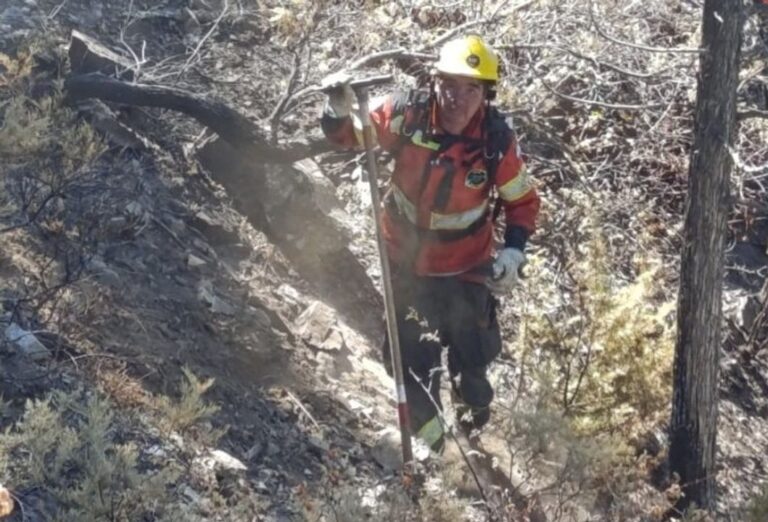 Incendio en Puerto Patriada: el fuego está contenido en un 85% y siguen los trabajos en sectores activos