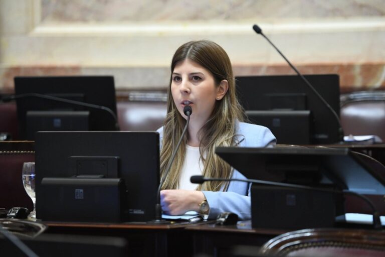 Andrea Cristina habló tras el incendio en su despacho del Senado y denunció uso político del hecho