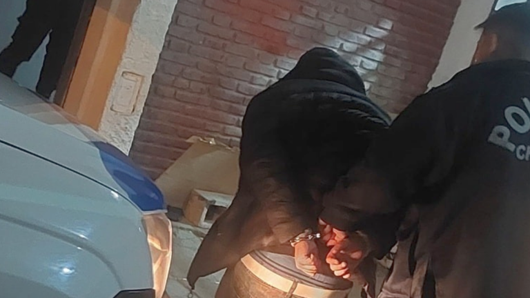 Una mujer detuvo a un ladrón de autos en el barrio Newbery